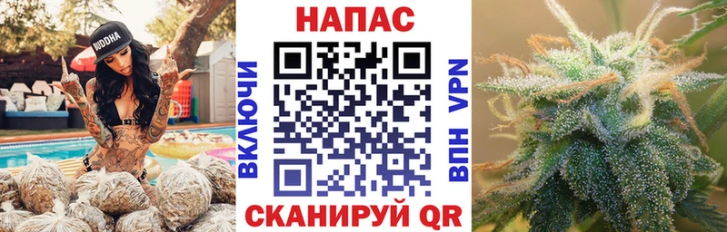 Купить где  Вилюйск  Конопля MAZAR 